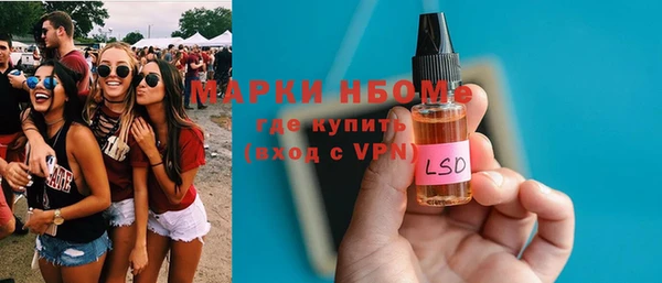 индика Нягань