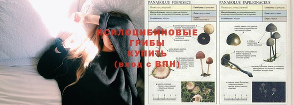 мдма Беломорск
