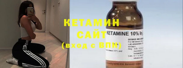 дживик Няндома