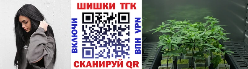 Марихуана THC 21% где продают наркотики Горячеводский